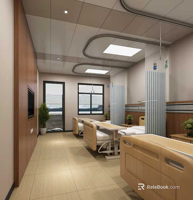 Hospital Ward Interior With Beds Windows Plants TV And Ceiling Lights 3d model 