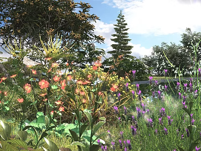 Vibrant Garden Bushes With Orange Purple Flowers And Green Leaves Under Blue Sky 3d model