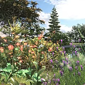 Vibrant Garden Bushes With Orange Purple Flowers And Green Leaves Under Blue Sky