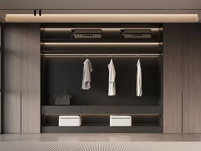 Modern Wardrobe Interior With Wooden Panels Hanging Clothes Handbag And Storage Drawers 3d model