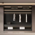 Modern Wardrobe Interior With Wooden Panels Hanging Clothes Handbag And Storage Drawers
