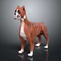 Brown and White Striped Boxer Dog Standing in Studio with Smooth Surface 3d model