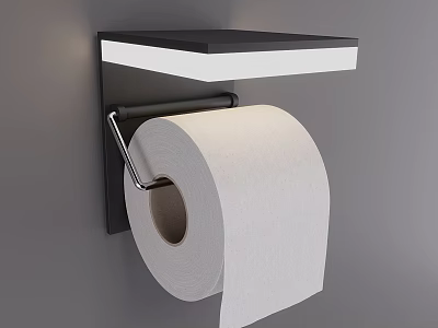 Wall Mounted Toilet Paper Roll Holder With Black Shelf For Daily Hygiene 3d model