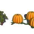 Three Ripe Pumpkins With Green Leaves And Fresh Grapevine With Purple Grapes
