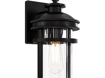 Black Metal Outdoor Wall Light With Clear Glass Shade And Bulb 3d model
