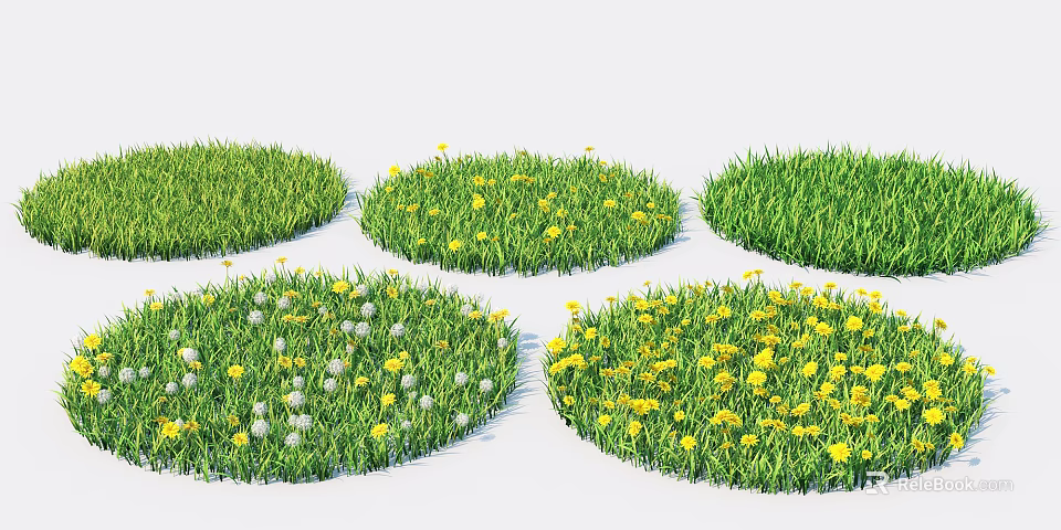 Vibrant Circular Grass Patches With Yellow And White Flowers In Garden 3d model 