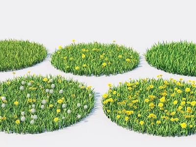 Vibrant Circular Grass Patches With Yellow And White Flowers In Garden 3d model
