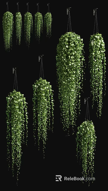 Lush Trailing Hanging Basket Plants With Dense Green Leaves And Cascading Foliage 3d model 