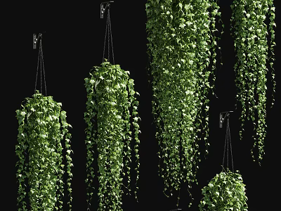 Modern hanging basket potted plant flowerpot hanging orchid vine 3d model