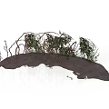 Curved Twig And Vine Structure With Green Plants On Dark Ground