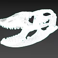 Detailed Reptile Skull With Sharp Teeth And Anatomical Structure On Gray Background