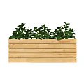 Lush Green Potted Plants In Wooden Rectangular Planter For Home Garden
