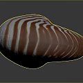 Nautilus Shell With Orange And White Stripes In Spiral Shape On Dark Background
