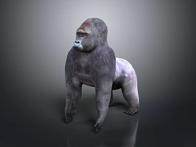 Realistic 3D Gorilla Model in Natural Standing Pose on Dark Background 3d model