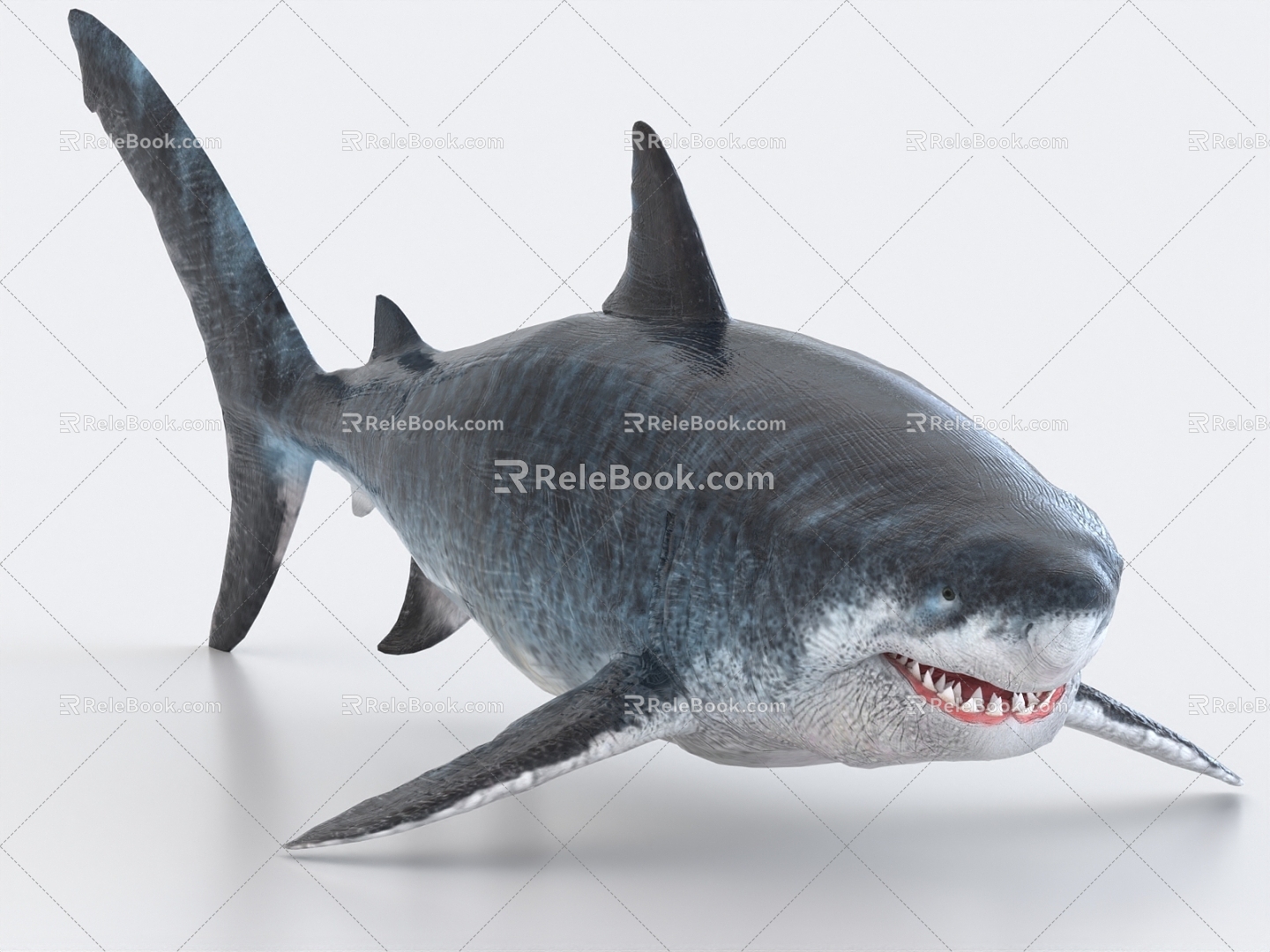 shark great white shark marine life 3d model