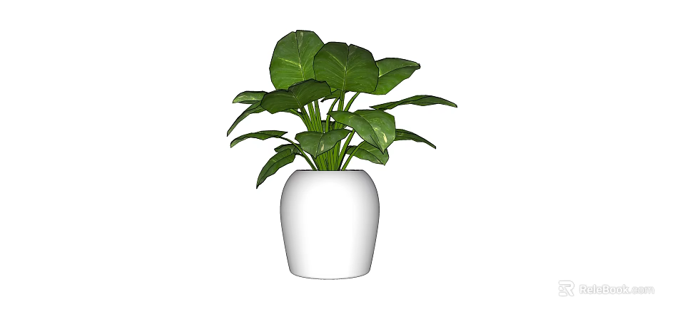 Green Leafy Bonsai Potted Plant in White Ceramic Pot for Home Decor 3d model 