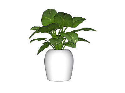 Green Leafy Bonsai Potted Plant in White Ceramic Pot for Home Decor 3d model