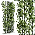 Lush Green Plant Wall With Hanging Vines Diverse Foliage And Vertical Design 3d model
