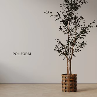 Modern Potted Plant 3d model