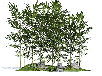 Bamboo Landscape Bamboo Luohan Bamboo Xiangfei Bamboo Courtyard Bamboo Moss Terrain Green Bamboo Forest Garden Sparks Bamboo Terrain 3d model