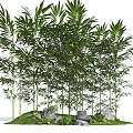 Bamboo Landscape Bamboo Luohan Bamboo Xiangfei Bamboo Courtyard Bamboo Moss Terrain Green Bamboo Bamboo Forest Garden Sparks Bamboo Terrain 3d model