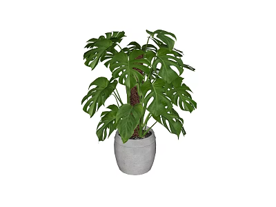modern plant green plant potted plant 3d model modern plant green plant potted plant 3d model