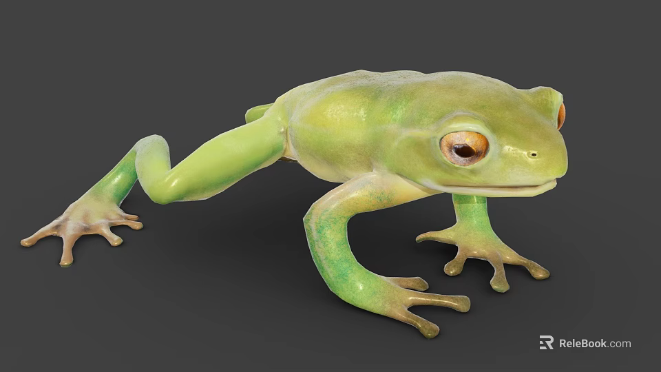 Green Flying Frog With Large Eyes Slim Body And Webbed Feet In Natural Habitat 3d model 