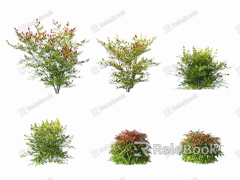 Modern plant South Tianzhu shrub plant model