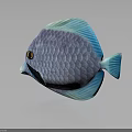 Vibrant Purple And Blue Disc Fish With Iridescent Scales And Orange Eye On Dark Background