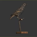 Common Starling With Spotted Feathers Perched On Wooden Stand With Square Base
