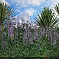 Purple Flowering Shrubs With Green Foliage And Palm Leaves Under Blue Sky And White Clouds