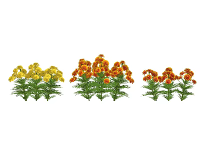 Vibrant Yellow and Orange Marigold Flowers with Green Leaves and Stems 3d model