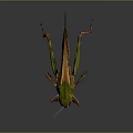 Modern grasshopper insect cartoon locust 3d model