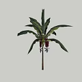 Green Leaf Shrub With Red Fruits And White Small Flowers In Garden