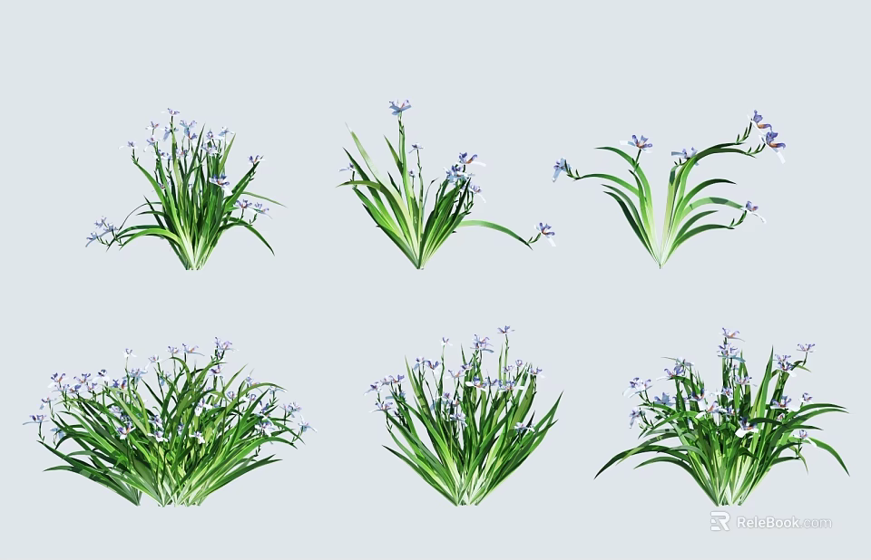 Beautiful Green Herb Plants With Slender Leaves And Small Purple Flowers In Various Forms 3d model 