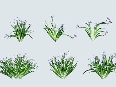 Beautiful Green Herb Plants With Slender Leaves And Small Purple Flowers In Various Forms 3d model