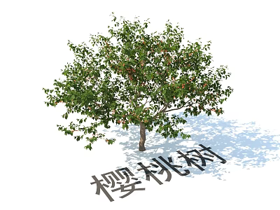 Cherry Tree Plant Combination For Outdoor Garden Landscaping With Green Leaves And Red Fruits 3d model