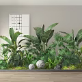 Indoor Plant Combination With Tropical Green Plants Decorative Stones Wall Artwork And Wooden Floor