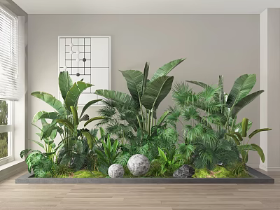 Indoor Plant Combination With Tropical Green Plants Decorative Stones Wall Artwork And Wooden Floor 3d model