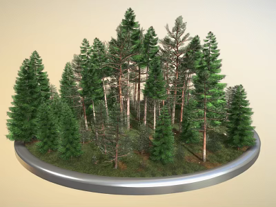 Diverse Trees With Green Foliage On Round Platform Various Trunk Sizes And Grass Base 3d model