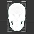 Game and Movie Character White Skull with Detailed Facial Features and Realistic Design