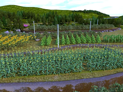 Swing Door in Farm Field with Sunflowers Green Crops and Trees 3d model