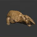 Golden Lizard Decorative Ornament With Detailed Metallic Scales And Shiny Surface
