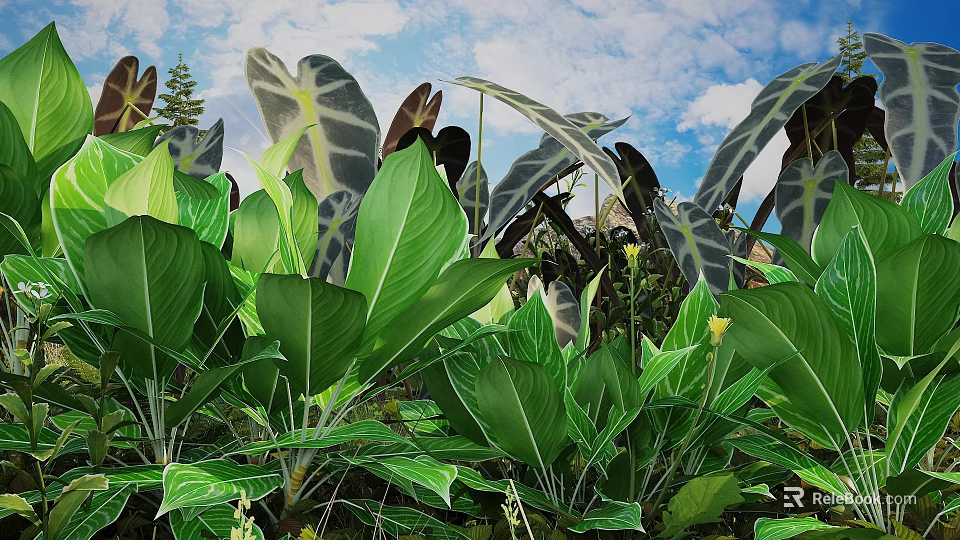 Lush Flowers And Green Plants With Large Leaves Against Blue Sky White Clouds 3d model 