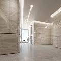 Modern Elevator Lobby Interior Design With Sleek Lighting And Spacious Marble Floor Decor 3d model