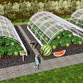 Garden Landscape Featuring Transparent Greenhouses With Watermelon And Vegetable Plants Pathway And Grass