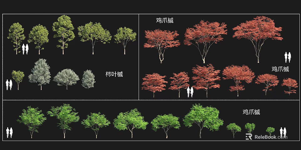 Different Arbor Varieties With Jizhua Maple Coniferous Maple Various Sizes Green Red Leaves 3d model 