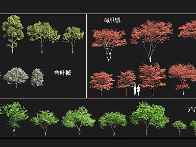 Different Arbor Varieties With Jizhua Maple Coniferous Maple Various Sizes Green Red Leaves 3d model
