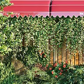 Outdoor Living Plant Wall Design With Red Awning Wooden Backdrop And Small Water Feature