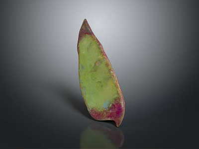 Colorful Leaf Shaped Food Slice With Vibrant Green Pink And Purple Hues 3d model